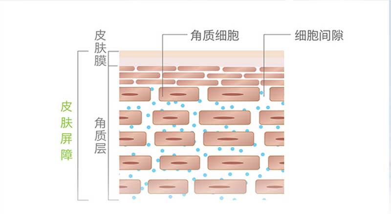 【夏季护肤第三课】超实用补水保养法!在夏日跟粗糙暗沉说拜拜-1 【夏季护肤第三课】超实用补水保养法!在夏日跟粗糙暗沉说拜拜-10